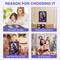 Crow Diamond Painting Kits for Adults (W) 15.75 x 11.81 x 0.31 inches